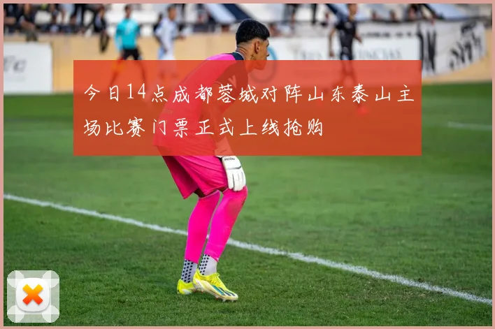 今日14点成都蓉城对阵山东泰山主场比赛门票正式上线抢购