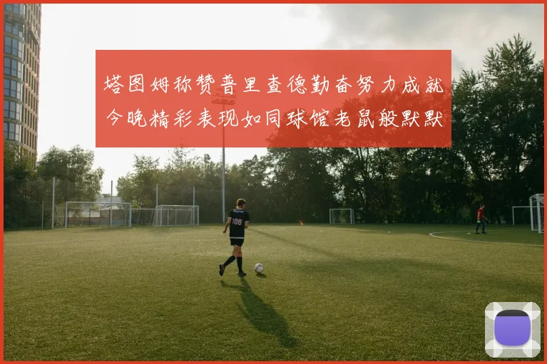 塔图姆称赞普里查德勤奋努力成就今晚精彩表现如同球馆老鼠般默默付出